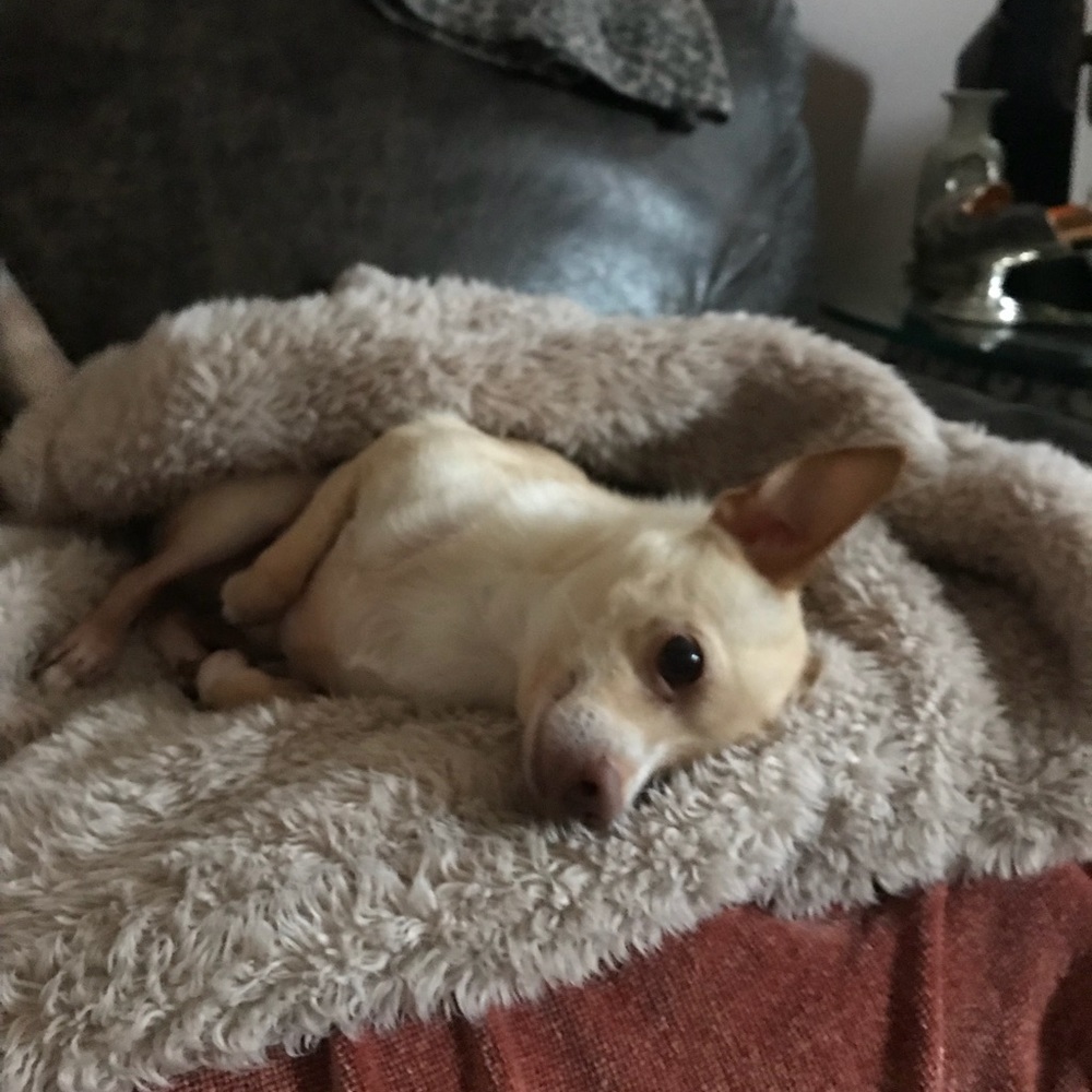 LOVE❣️❣️❣️❤️❤️❤️ - Picture 3 of 4